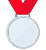 Silver Medal